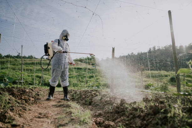 Best Wasp Removal Services  in Conyngham, PA