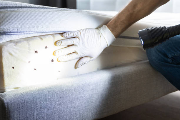 Pest Control for Restaurants in Conyngham, PA
