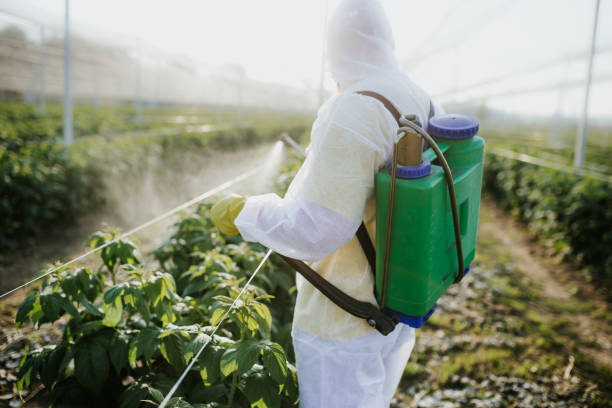 Best Affordable Pest Control Services  in Conyngham, PA